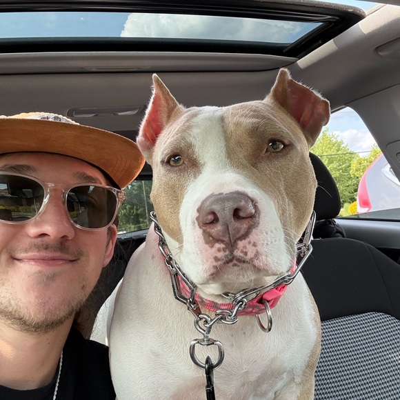 Meet your Posher, Luke - Picture 6 of 10